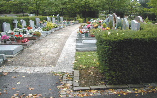 allée dans cimetière